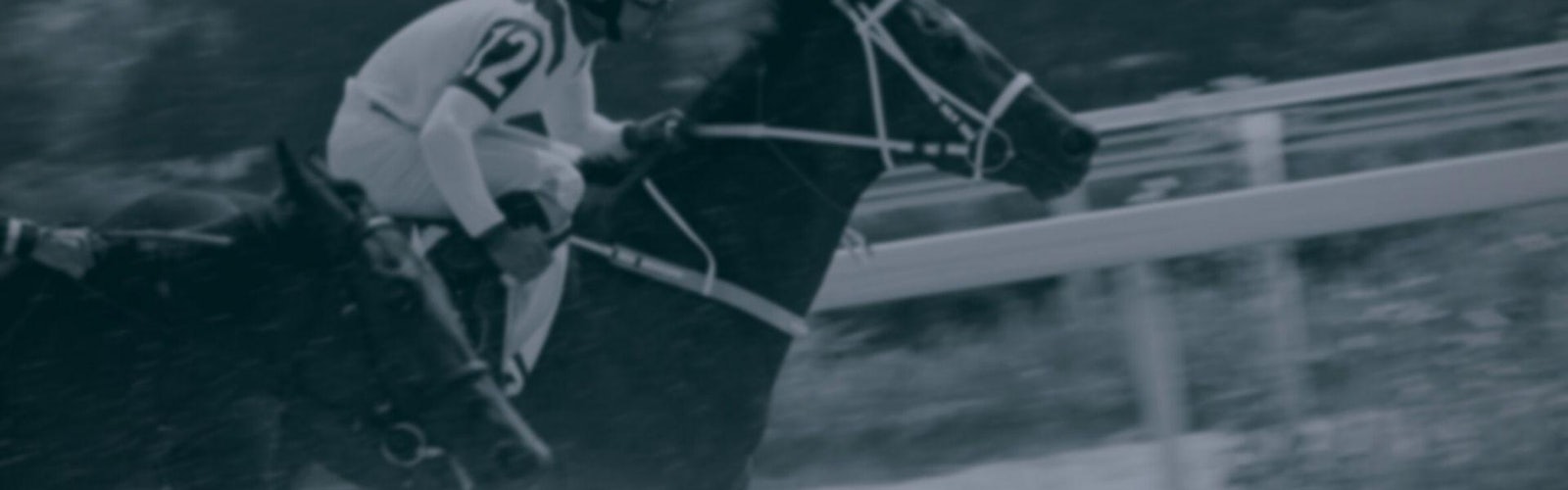 Scommesse sui cavalli